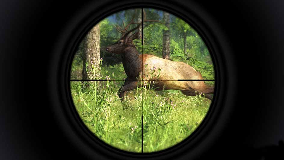 deer hunter game pc